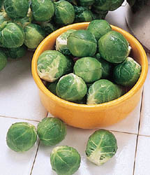 Tasty Nuggets Hybrid Brussels Sprouts